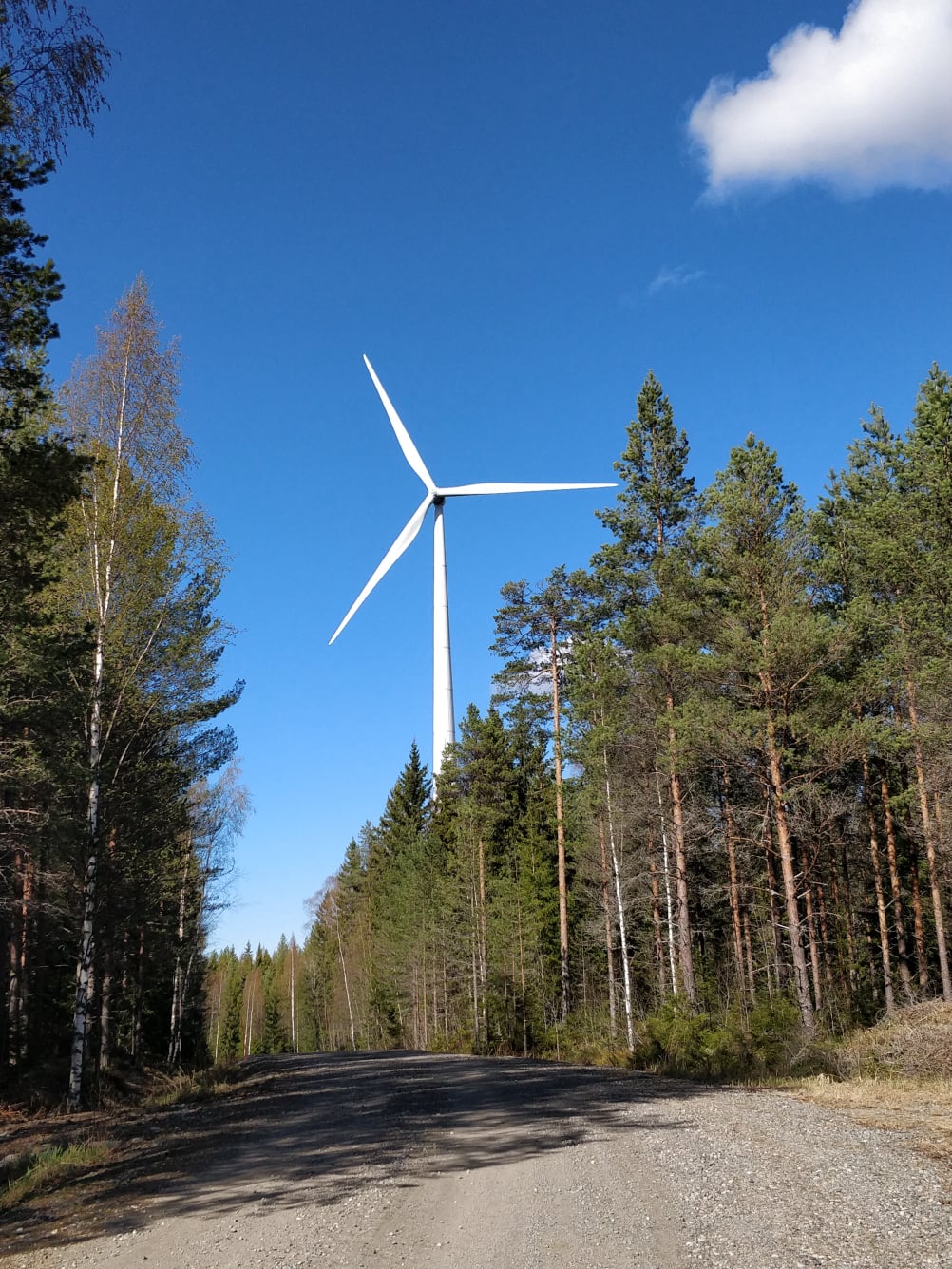 Wind turbine in forest