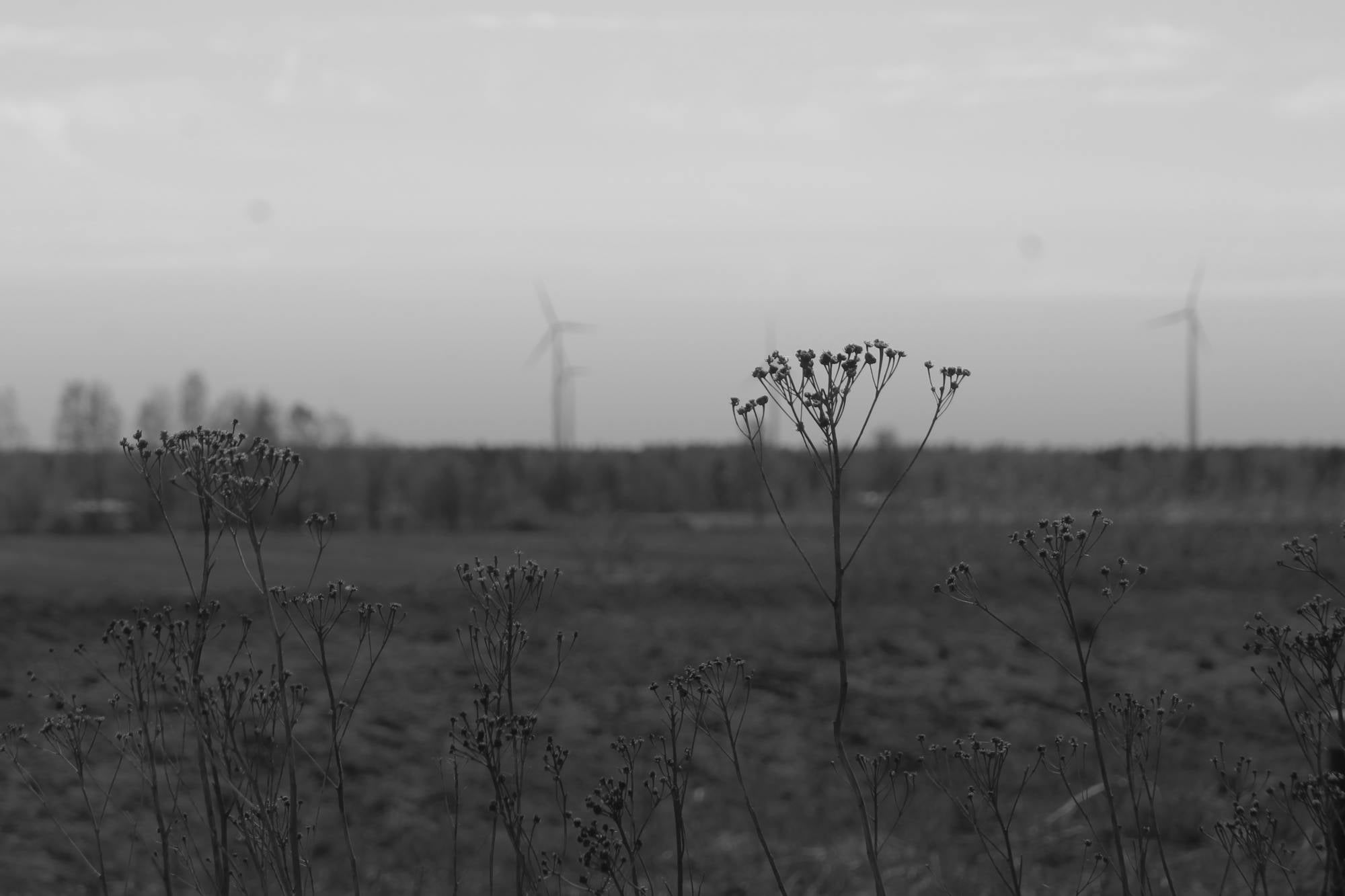 Wind-turbine